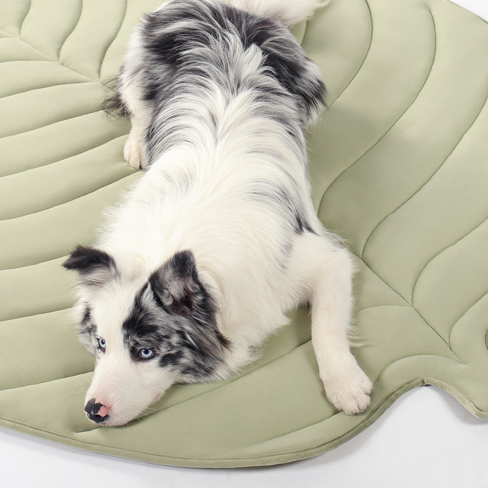 Leaf-Shaped Pet Cooling Mat