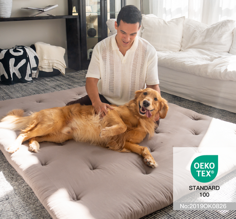 How Can a Floor Mattress Help Your Senior Dog? [A Comprehensive Guide]