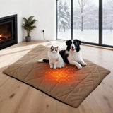 Free Electric Heated Pet Mat （5pcs limited）
