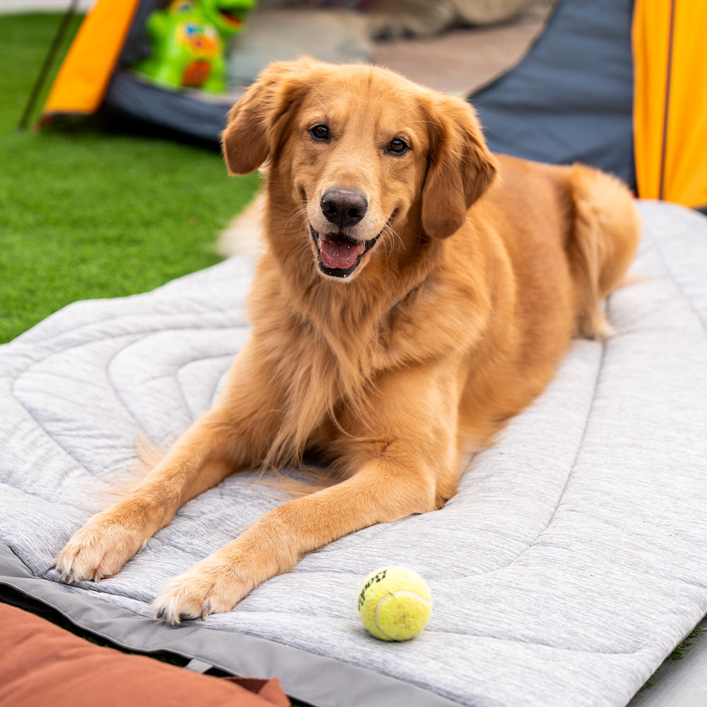 Pet cooling mat best sale