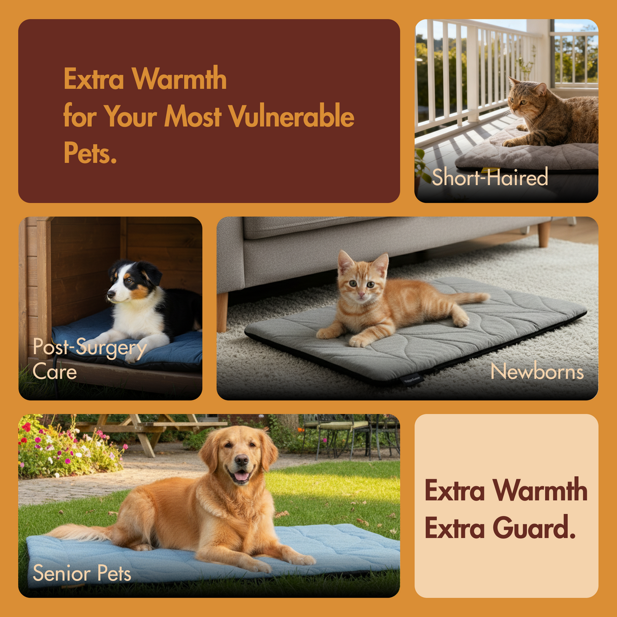 Free Electric Heated Pet Mat （5pcs limited）