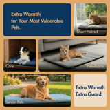 Free Electric Heated Pet Mat （5pcs limited）