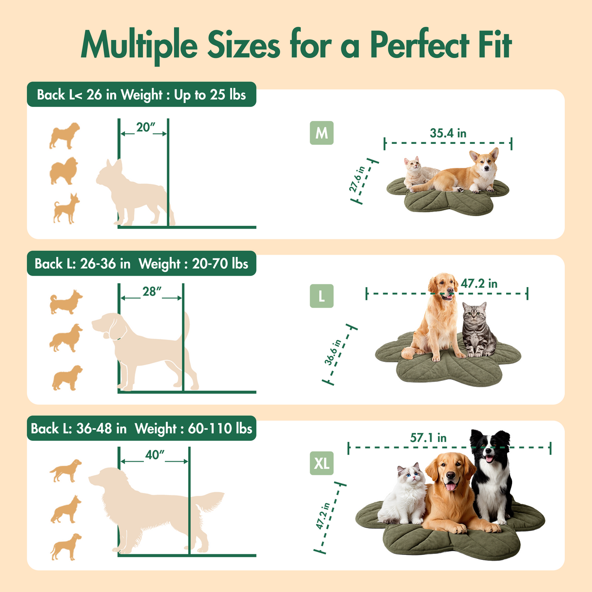 Free Electric Heated Pet Mat （5pcs limited）