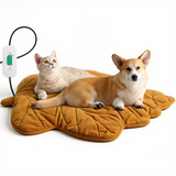 Free Electric Heated Pet Mat （5pcs limited）