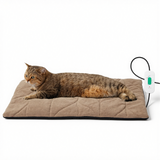 Free Electric Heated Pet Mat （5pcs limited）