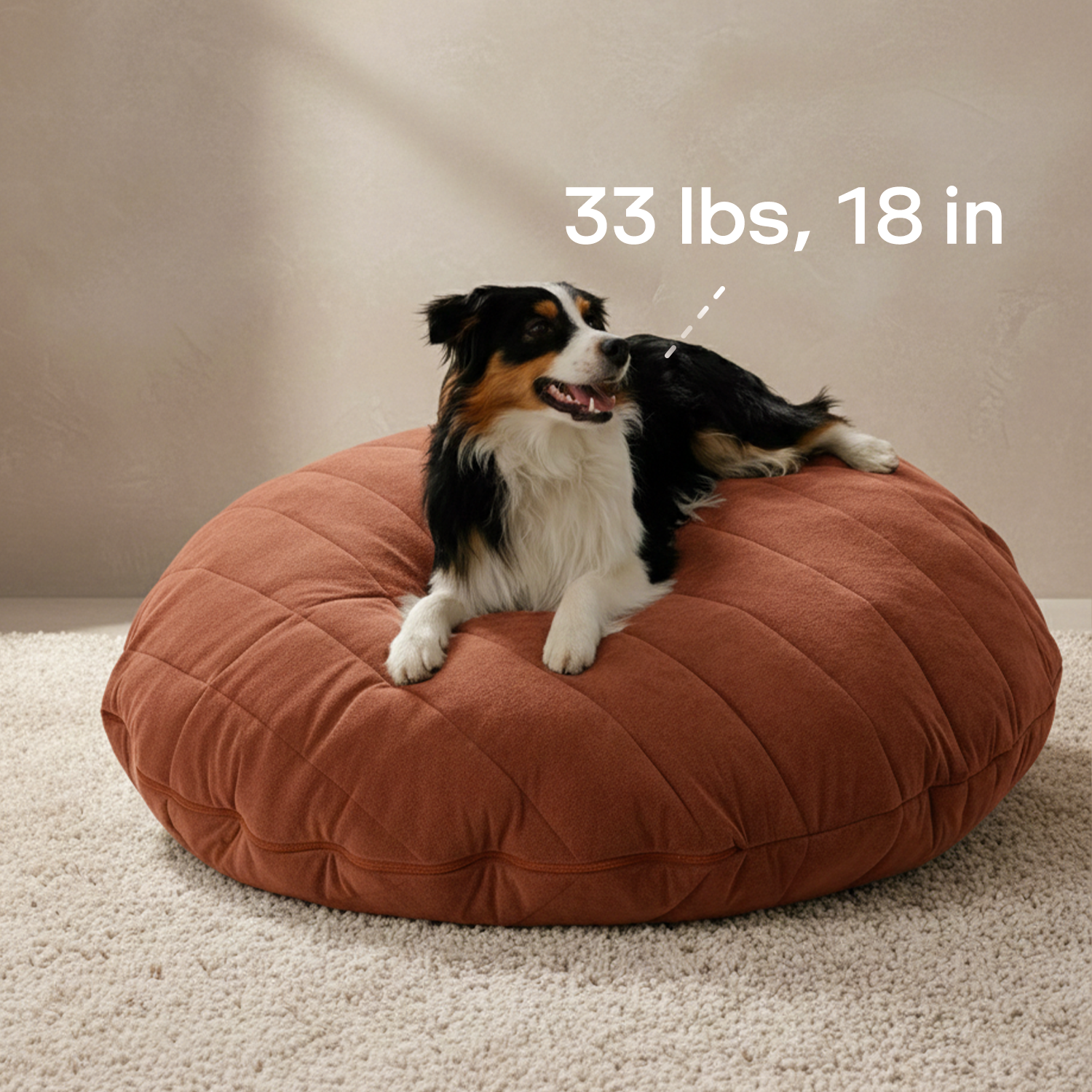 Bean bag sofa