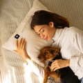 3-in-1 Battery Powered Heated Blanket- Z-Hug-7.4V