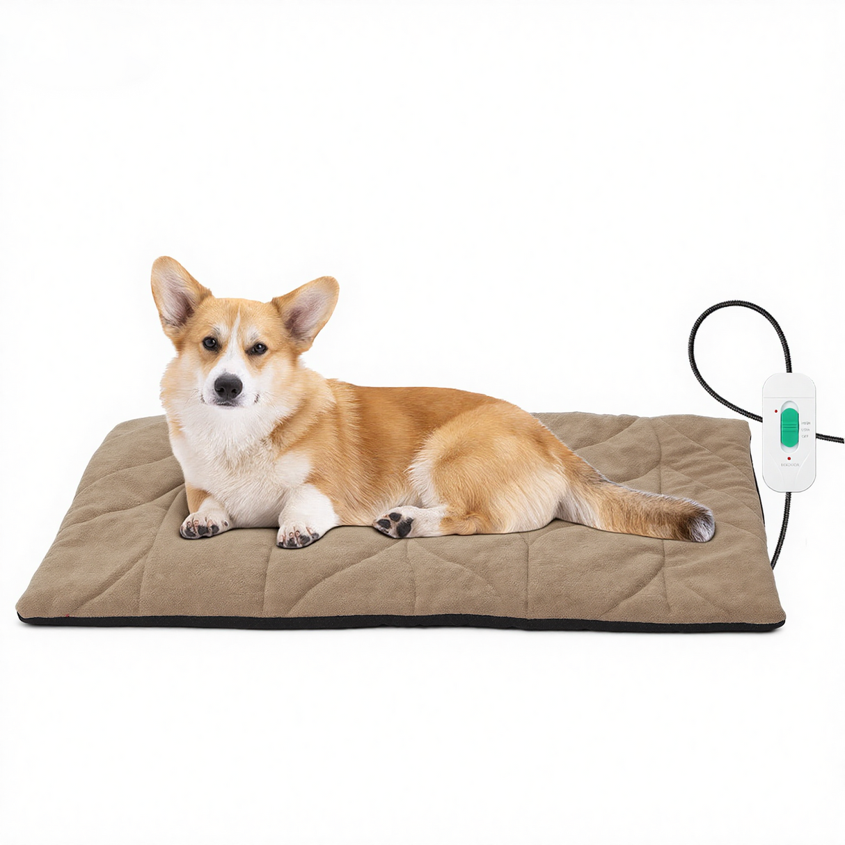 Free Electric Heated Pet Mat （5pcs limited）