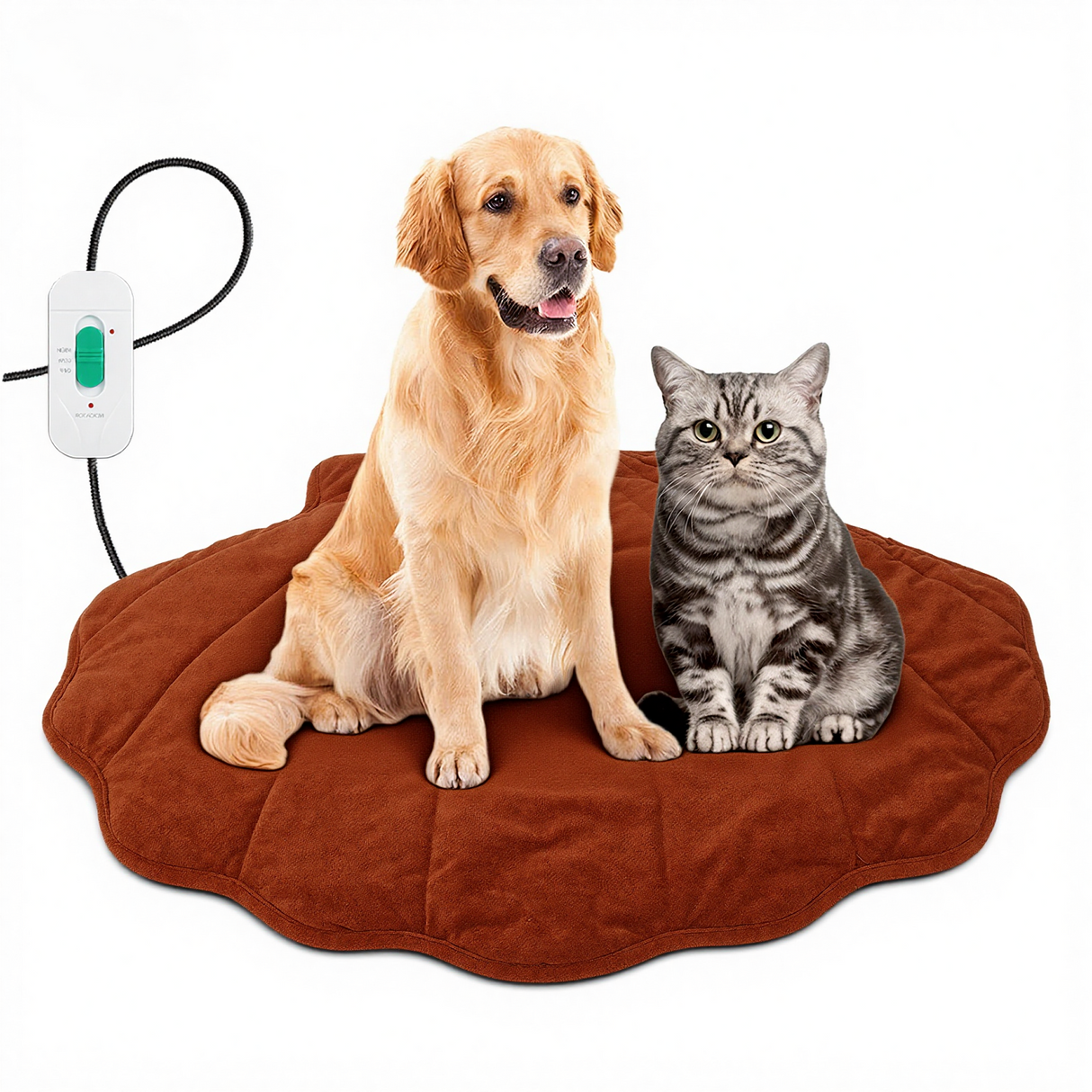 Free Electric Heated Pet Mat （5pcs limited）