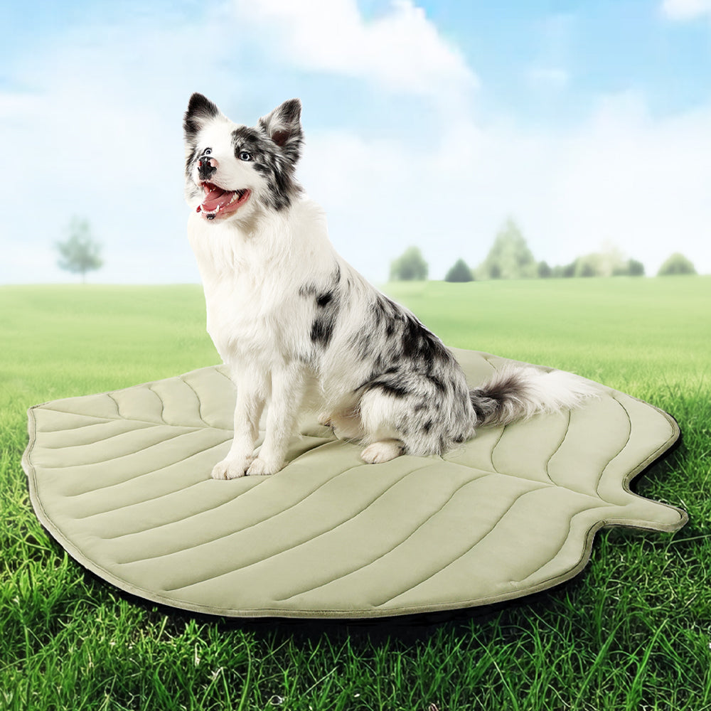 Leaf-Shaped Pet Cooling Mat – Zonli