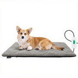 Free Electric Heated Pet Mat （5pcs limited）