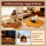 Free Electric Heated Pet Mat （5pcs limited）
