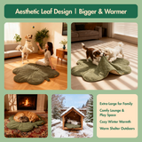 Free Electric Heated Pet Mat （5pcs limited）