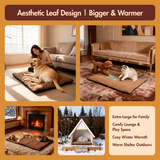 Free Electric Heated Pet Mat （5pcs limited）