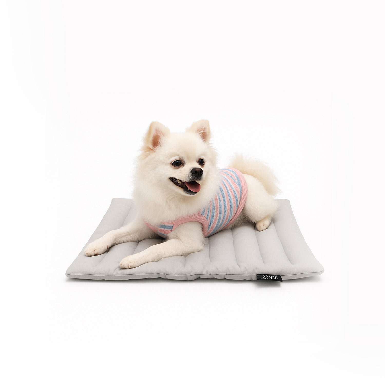 A Large Outdoor Cooling Mat For Dogs – Zonli