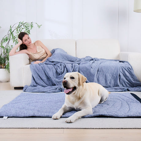 Cooling Comforter & Pet Mat Bundle
