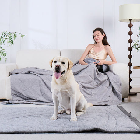 Cooling Comforter & Pet Mat Bundle