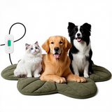 Free Electric Heated Pet Mat （5pcs limited）