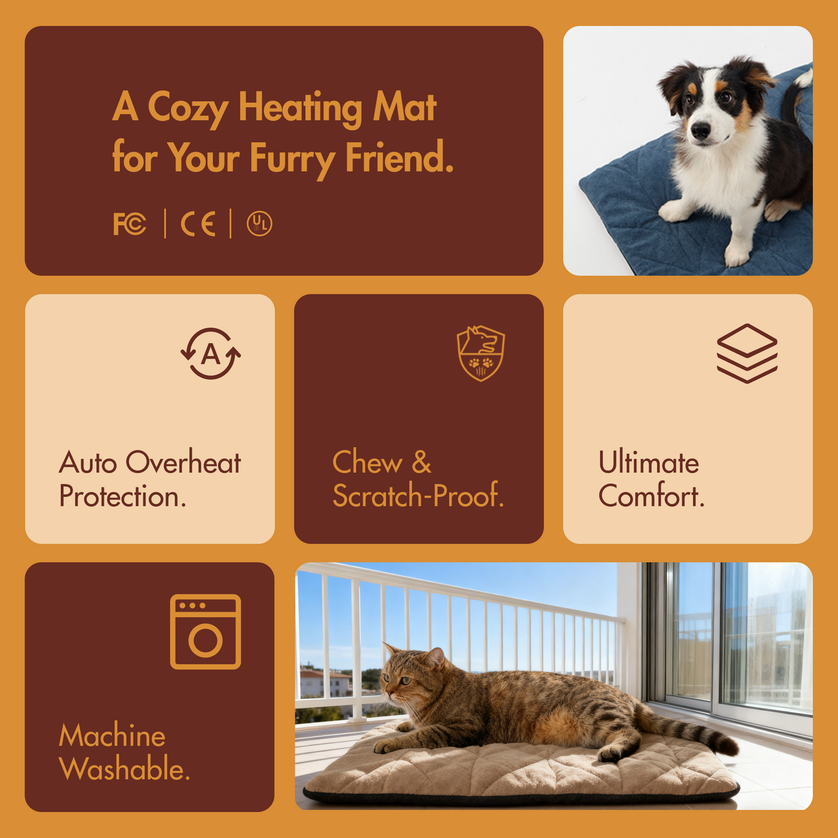 Free Electric Heated Pet Mat （5pcs limited）
