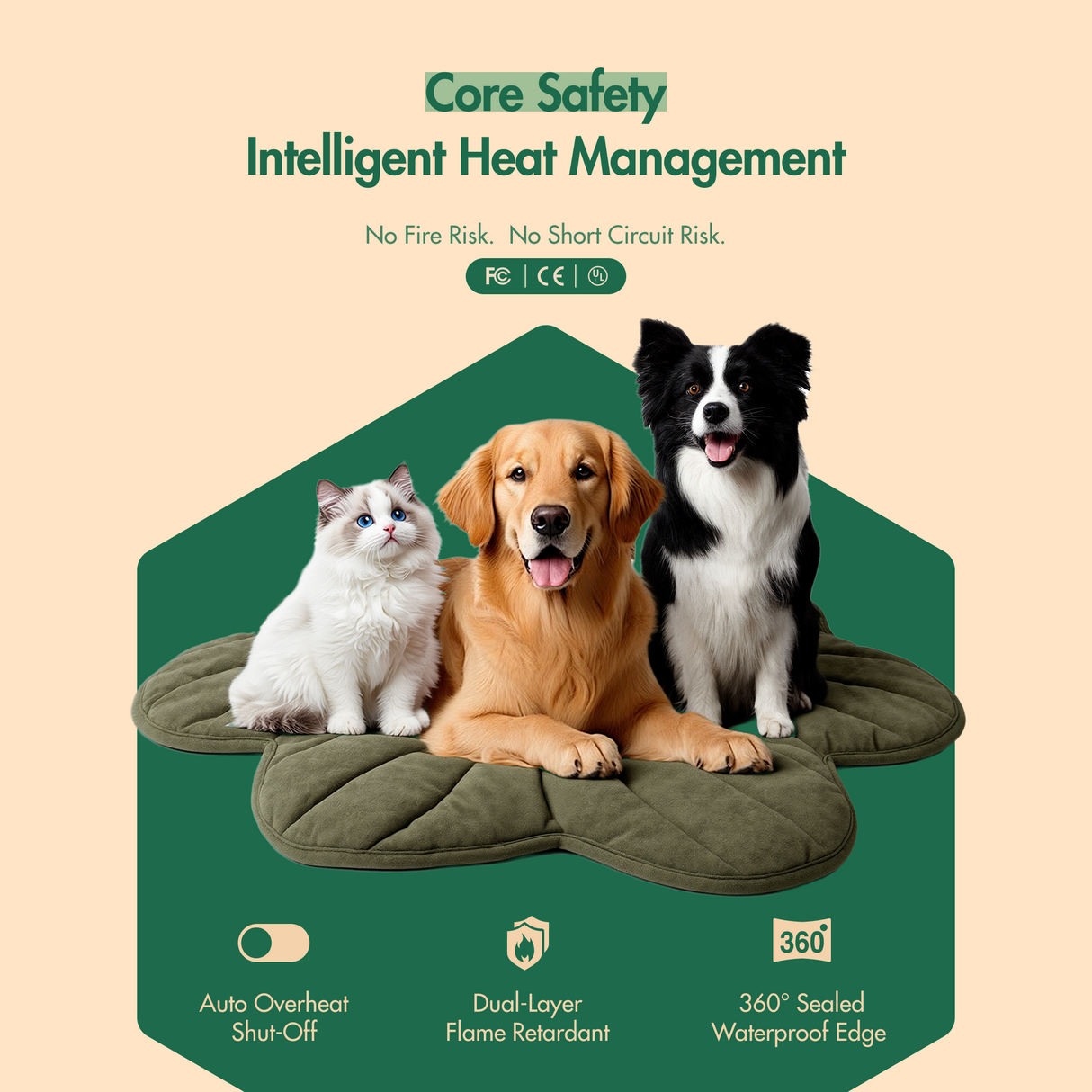 Free Electric Heated Pet Mat （5pcs limited）