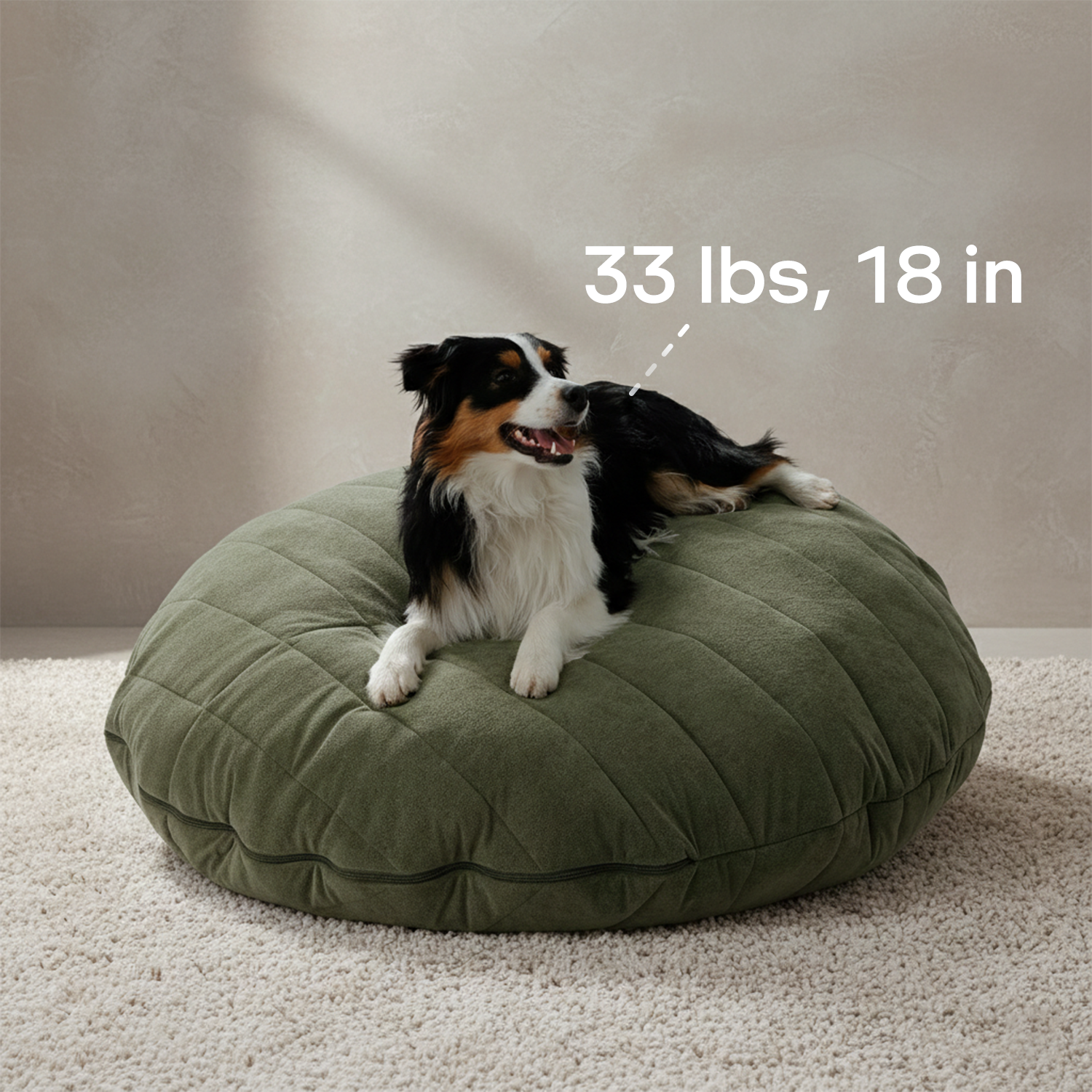 Bean bag sofa