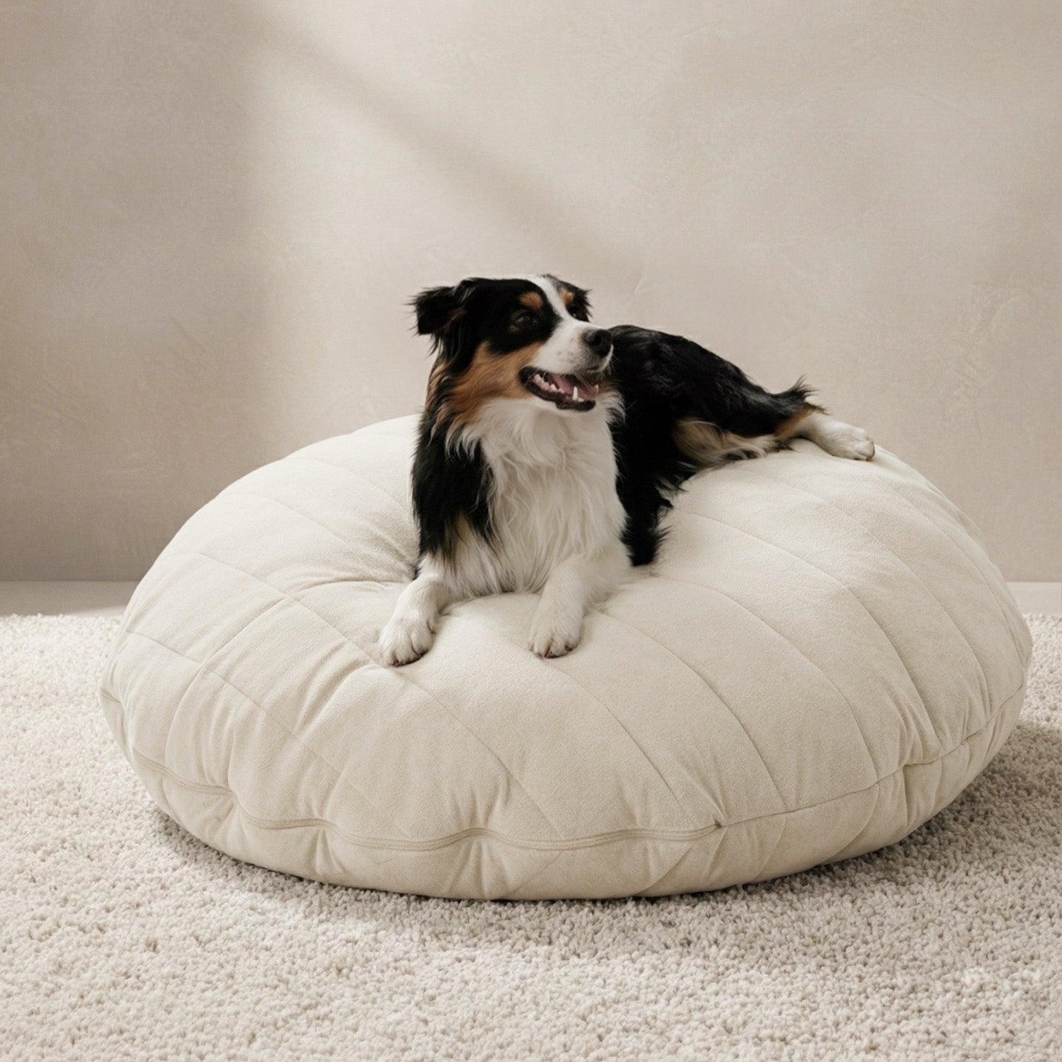 Bean bag sofa